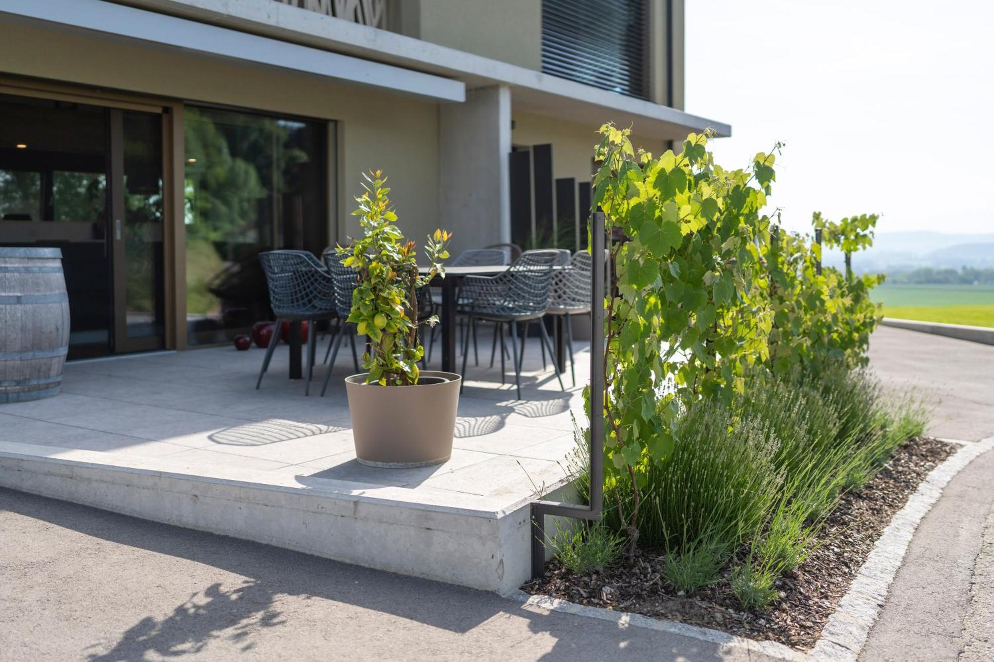 Le Rive Sud Hotel Estavayer-le-lac Exterior foto